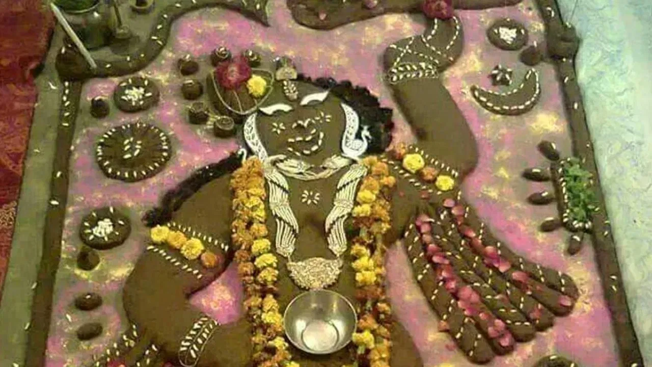 ਗੋਵਰਧਨ ਪੂਜਾ ਦੌਰਾਨ ਕੀ ਨਹੀਂ ਕਰਨਾ ਚਾਹੀਦਾ?: ਗੋਵਰਧਨ ਪੂਜਾ ਅਤੇ ਇਸ ਤੋਂ ਪਹਿਲਾਂ ਵਾਲੀ ਅਮਾਵਿਸਆ ਦੇ ਦਿਨ ਤੁਲਸੀ ਦੇ ਪੱਤੇ ਨਹੀਂ ਤੋੜਨੇ ਚਾਹੀਦੇ। ਇਸ ਦਿਨ ਕੋਈ ਵੀ ਰੁੱਖ ਜਾਂ ਪੌਦਾ ਨਹੀਂ ਕੱਟਣਾ ਚਾਹੀਦਾ। ਗੋਵਰਧਨ ਪੂਜਾ ਦੌਰਾਨ ਘਰ ਵਿੱਚ ਤਾਮਸਿਕ ਭੋਜਨ ਨਹੀਂ ਪਕਾਉਣਾ ਚਾਹੀਦਾ। ਇਸ ਦਿਨ ਮਾਸ, ਸ਼ਰਾਬ ਜਾਂ ਹੋਰ ਤਾਮਸਿਕ ਭੋਜਨ ਵੀ ਨਹੀਂ ਖਾਣਾ ਚਾਹੀਦਾ।