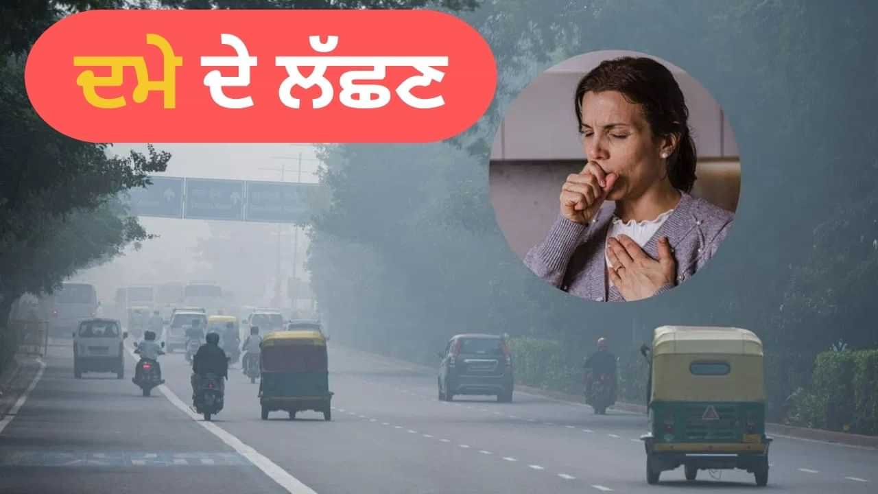 ਪ੍ਰਦੂਸ਼ਣ ਅਤੇ ਪਟਾਕਿਆਂ ਤੋਂ ਬਾਅਦ ਸਾਹ ਫੁੱਲਣਾ, ਕੀ ਇਹ ਦਮੇ ਦੇ ਸ਼ੁਰੂਆਤੀ ਲੱਛਣ ਹਨ? ਪ੍ਰਦੂਸ਼ਣ ਅਤੇ ਪਟਾਕਿਆਂ ਤੋਂ ਬਾਅਦ ਸਾਹ ਫੁੱਲਣਾ, ਕੀ ਇਹ ਦਮੇ ਦੇ ਸ਼ੁਰੂਆਤੀ ਲੱਛਣ ਹਨ?