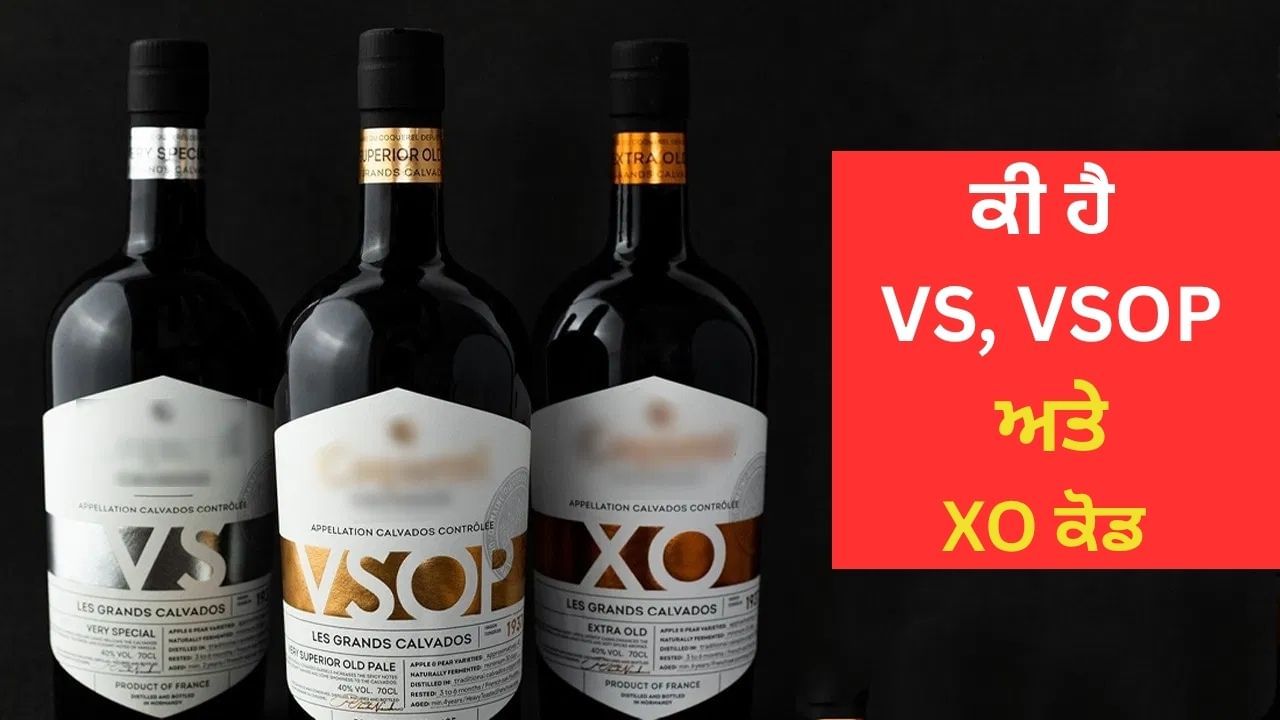 ਬ੍ਰਾਂਡੀ ਦੀ ਬੋਤਲ 'ਤੇ ਲਿਖੇ ਕੋਡ VS, VSOP ਅਤੇ XO ਦਾ ਕੀ ਹੈ ਅਰਥ? ਕਿਹੜਾ ਵੱਧ ਪ੍ਰੀਮੀਅਮ?