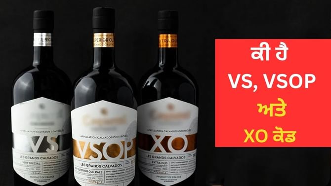 ਬ੍ਰਾਂਡੀ ਦੀ ਬੋਤਲ 'ਤੇ ਲਿਖੇ ਕੋਡ VS, VSOP ਅਤੇ XO ਦਾ ਕੀ ਹੈ ਅਰਥ? ਬ੍ਰਾਂਡੀ ਦੀ ਬੋਤਲ 'ਤੇ ਲਿਖੇ ਕੋਡ VS, VSOP ਅਤੇ XO ਦਾ ਕੀ ਹੈ ਅਰਥ?