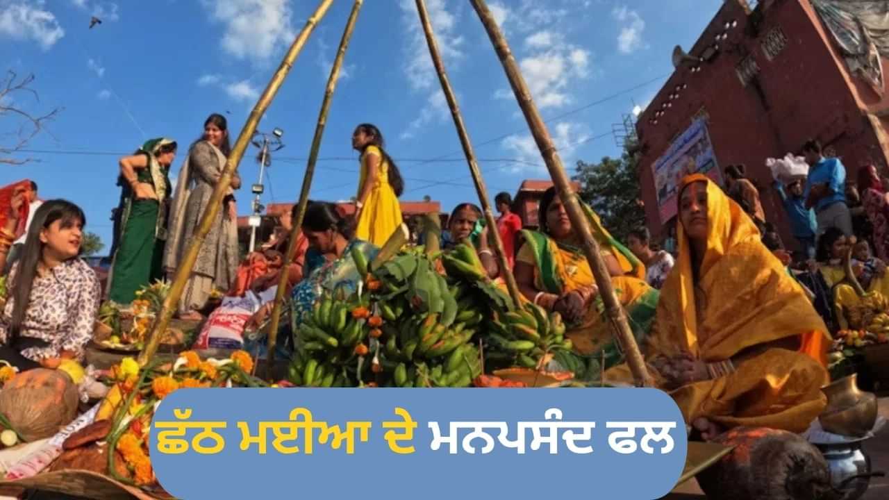 ਇਨ੍ਹਾਂ 9 ਫਲਾਂ ਤੋਂ ਬਿਨਾਂ ਅਧੂਰੀ ਹੈ ਛੱਠ ਪੂਜਾ, ਛੱਠ ਮਈਆ ਨੂੰ ਹਨ ਬਹੁਤ ਪਸੰਦ ਇਨ੍ਹਾਂ 9 ਫਲਾਂ ਤੋਂ ਬਿਨਾਂ ਅਧੂਰੀ ਹੈ ਛੱਠ ਪੂਜਾ, ਛੱਠ ਮਈਆ ਨੂੰ ਹਨ ਬਹੁਤ ਪਸੰਦ