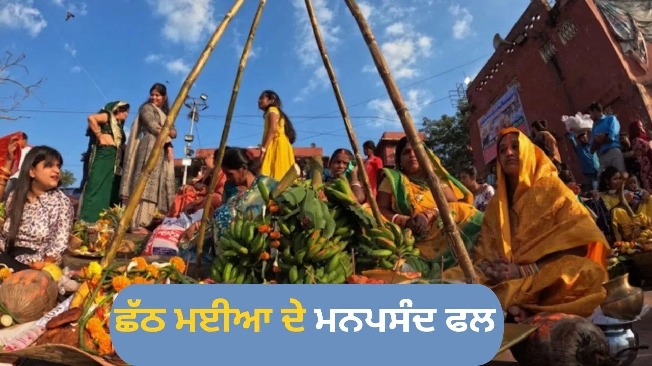 ਇਨ੍ਹਾਂ 9 ਫਲਾਂ ਤੋਂ ਬਿਨਾਂ ਅਧੂਰੀ ਹੈ ਛੱਠ ਪੂਜਾ, ਛੱਠ ਮਈਆ ਨੂੰ ਹਨ ਬਹੁਤ ਪਸੰਦ