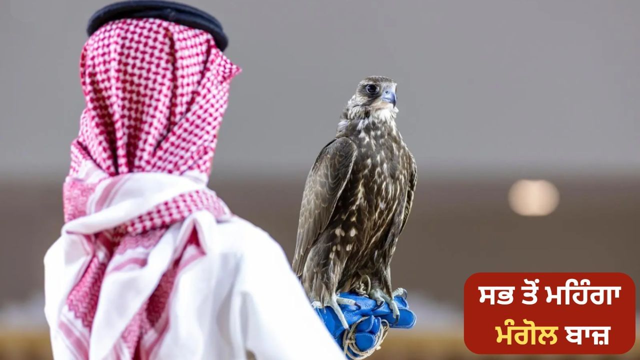 Saudi Falcon Exhibition 2025: ਚੰਗੇਜ਼ ਖਾਨ ਦੇ ਦੇਸ਼ ਦਾ ਇਹ ਬਾਜ਼, ਜੋ ਡੇਢ ਕਰੋੜ ਵਿੱਚ ਵਿਕਿਆ
