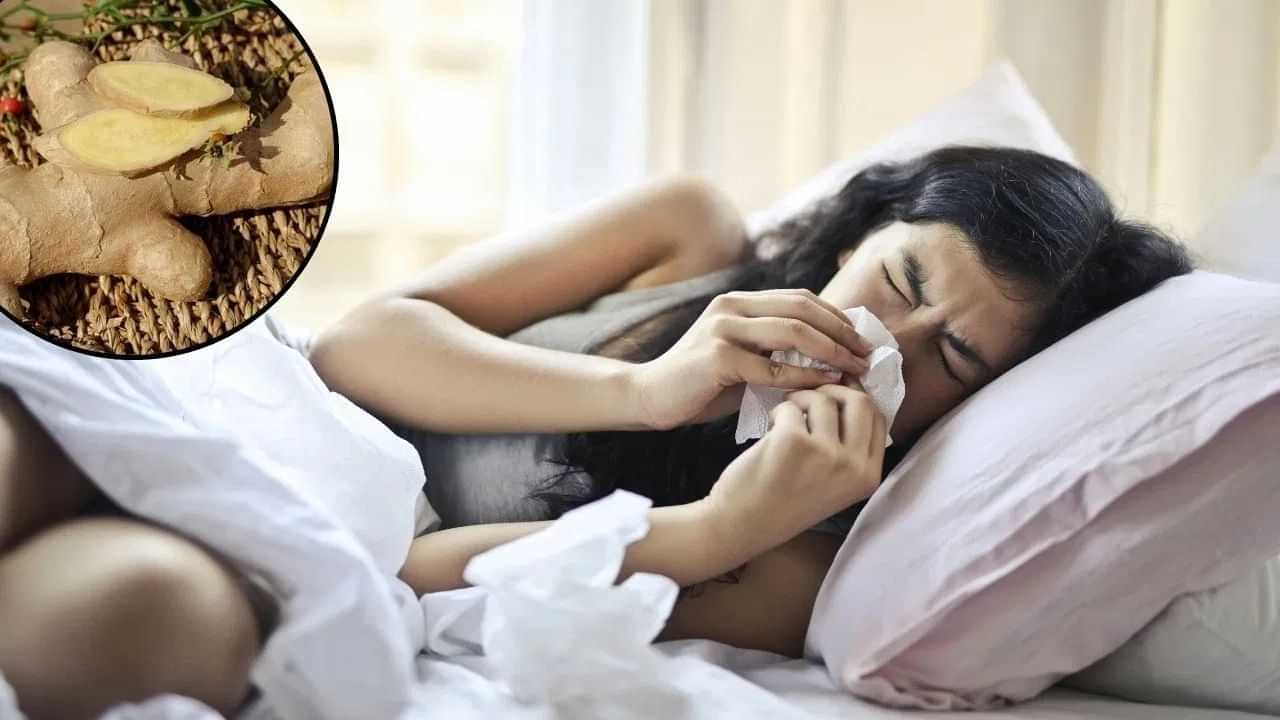 ਮੌਸਮ ਬਦਲਣ ਦੇ ਨਾਲ ਹੀ ਜ਼ੁਕਾਮ ਅਤੇ ਖੰਘ ਤੋਂ ਹੋ ਪਰੇਸ਼ਾਨ, ਇਹ ਘਰੇਲੂ ਉਪਚਾਰ ਦੇਣਗੇ ਰਾਹਤ ਮੌਸਮ ਬਦਲਣ ਦੇ ਨਾਲ ਹੀ ਜ਼ੁਕਾਮ ਅਤੇ ਖੰਘ ਤੋਂ ਹੋ ਪਰੇਸ਼ਾਨ, ਇਹ ਘਰੇਲੂ ਉਪਚਾਰ ਦੇਣਗੇ ਰਾਹਤ