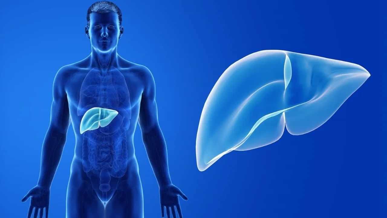 ਲੀਵਰ ਦੇ ਡੀਟੌਕਸੀਫਿਕੇਸ਼ਨ ਲਈ ਕਿਹੜੀਆਂ ਹੋਮਿਓਪੈਥਿਕ ਦਵਾਈਆਂ ਲਾਭਦਾਇਕ ਹਨ? ਐਕਸਪਰਟ ਤੋਂ ਜਾਣੋ ਲੀਵਰ ਦੇ ਡੀਟੌਕਸੀਫਿਕੇਸ਼ਨ ਲਈ ਕਿਹੜੀਆਂ ਹੋਮਿਓਪੈਥਿਕ ਦਵਾਈਆਂ ਲਾਭਦਾਇਕ ਹਨ? ਐਕਸਪਰਟ ਤੋਂ ਜਾਣੋ