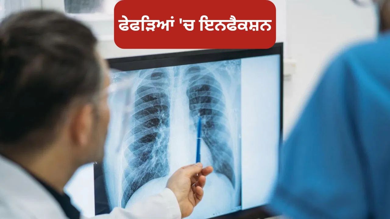 Lungs Infection: ਫੇਫੜਿਆਂ 'ਚ ਇਨਫੈਕਸ਼ਨ ਦੇ ਕੀ ਲੱਛਣ ਹਨ? ਮਾਹਿਰਾਂ ਤੋਂ ਜਾਣੋ
