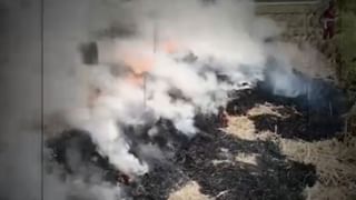 ਪੰਜਾਬ ਵਿੱਚ ਵਧੇ ਪਰਾਲੀ ਸਾੜਨ ਦੇ ਮਾਮਲੇ , ਜਾਣੋ ਕਿੰਨੀਆਂ ਹੋਈਆਂ FIR?