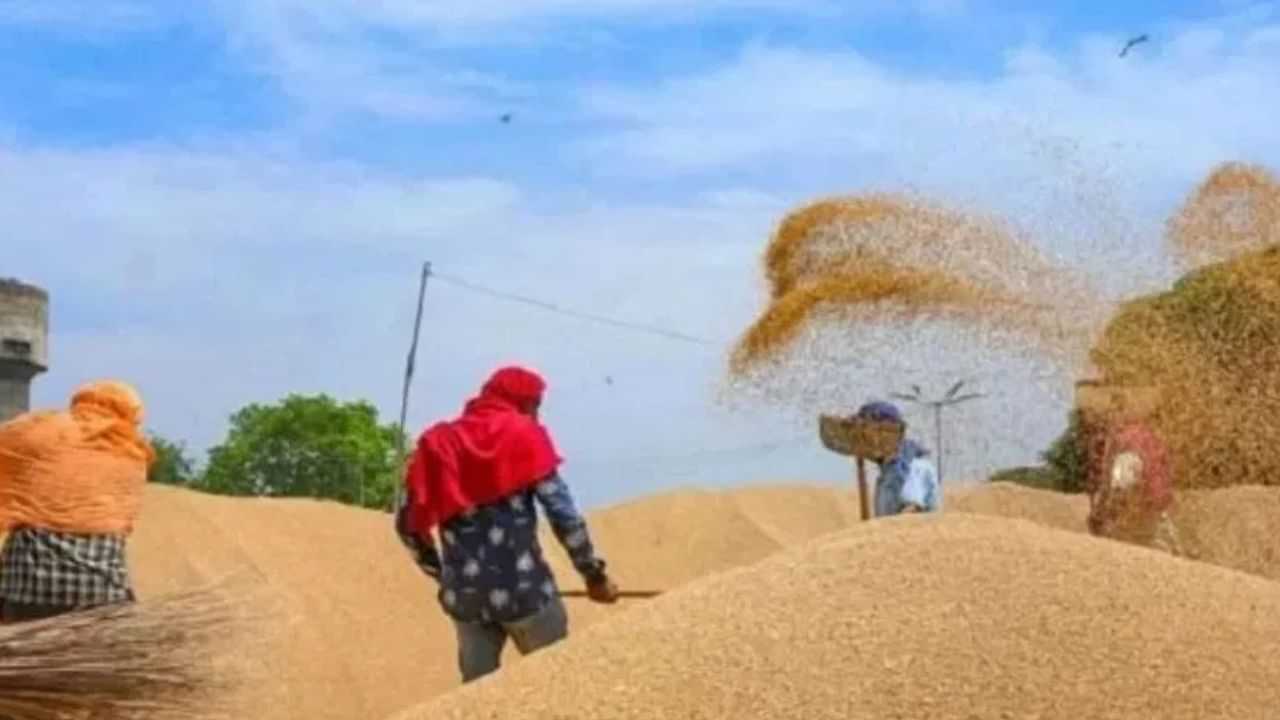 ਪੰਜਾਬ ਦੀਆਂ ਮੰਡੀਆਂ ਚ ਵਜ਼ਨ ਚੋਰੀ, ਤੱਕੜੀ ਵਿੱਚ ਹੇਰਾਫੇਰੀ ਕਰ ਕੇ ਕਿਸਾਨਾਂ ਨੂੰ ਮੂਰਖ ਬਣਾ ਰਹੇ ਏਜੰਟ- ਅਧਿਕਾਰੀ ਪੰਜਾਬ ਦੀਆਂ ਮੰਡੀਆਂ ਚ ਵਜ਼ਨ ਚੋਰੀ, ਤੱਕੜੀ ਵਿੱਚ ਹੇਰਾਫੇਰੀ ਕਰ ਕੇ ਕਿਸਾਨਾਂ ਨੂੰ ਮੂਰਖ ਬਣਾ ਰਹੇ ਏਜੰਟ- ਅਧਿਕਾਰੀ