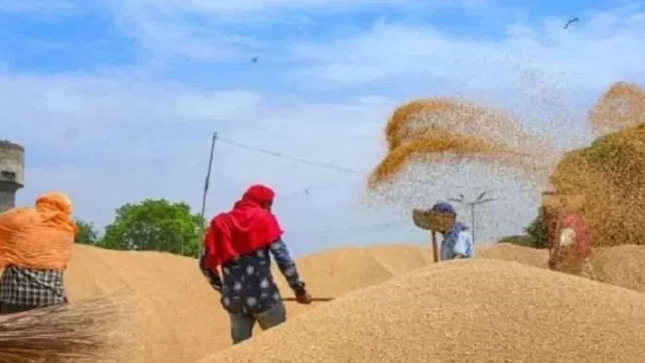 ਪੰਜਾਬ ਦੀਆਂ ਮੰਡੀਆਂ ਚ ਵਜ਼ਨ ਚੋਰੀ, ਤੱਕੜੀ ਵਿੱਚ ਹੇਰਾਫੇਰੀ ਕਰ ਕੇ ਕਿਸਾਨਾਂ ਨੂੰ ਮੂਰਖ ਬਣਾ ਰਹੇ ਏਜੰਟ- ਅਧਿਕਾਰੀ ਪੰਜਾਬ ਦੀਆਂ ਮੰਡੀਆਂ ਚ ਵਜ਼ਨ ਚੋਰੀ, ਤੱਕੜੀ ਵਿੱਚ ਹੇਰਾਫੇਰੀ ਕਰ ਕੇ ਕਿਸਾਨਾਂ ਨੂੰ ਮੂਰਖ ਬਣਾ ਰਹੇ ਏਜੰਟ- ਅਧਿਕਾਰੀ