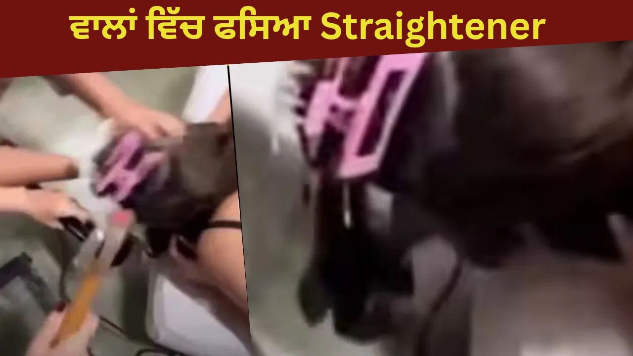Viral Video: ਔਰਤ ਦੇ ਵਾਲਾਂ 'ਚ ਫਸਿਆ ਹੇਅਰ ਸਟ੍ਰੇਟਨਰ, ਫਿਰ ਹੋਇਆ ਵੱਡਾ ਹਾਦਸਾ