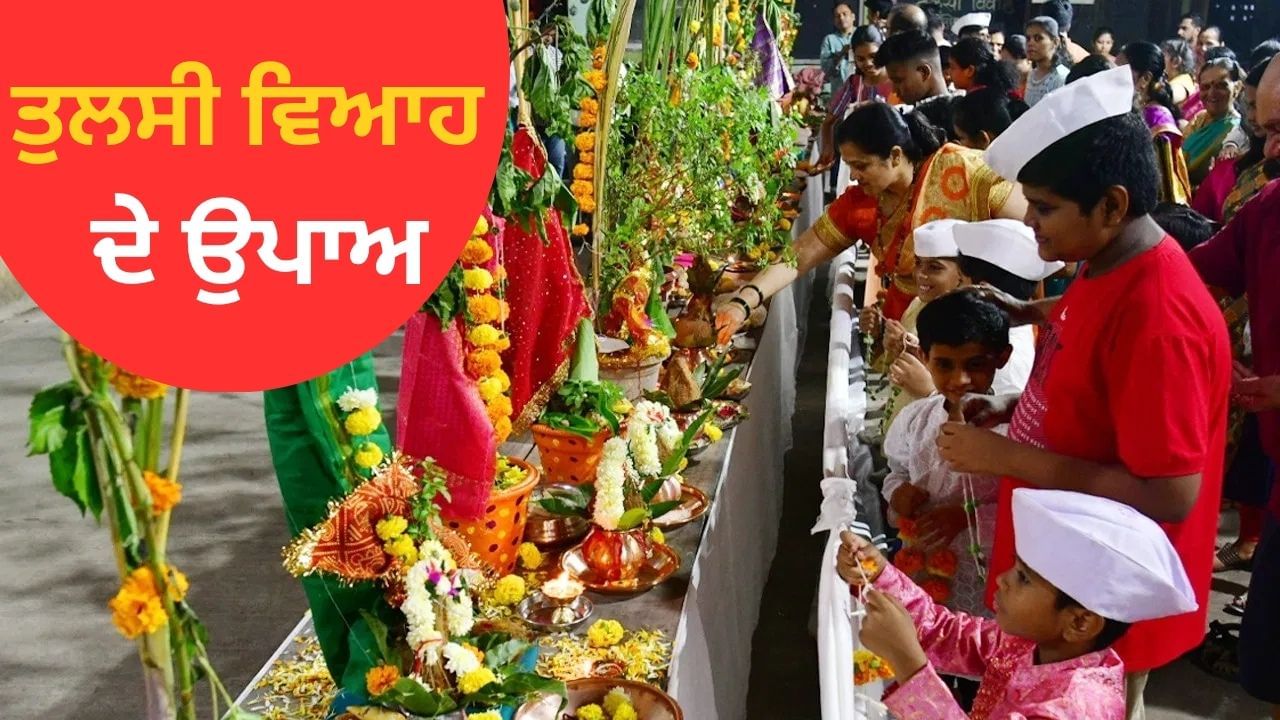 ਤੁਲਸੀ ਵਿਵਾਹ ਵਾਲੇ ਦਿਨ ਕਰੋ ਇਹ ਉਪਾਅ, ਖੁੱਲ੍ਹਣਗੇ ਕਿਸਮਤ ਦੇ ਦਰਵਾਜ਼ੇ!