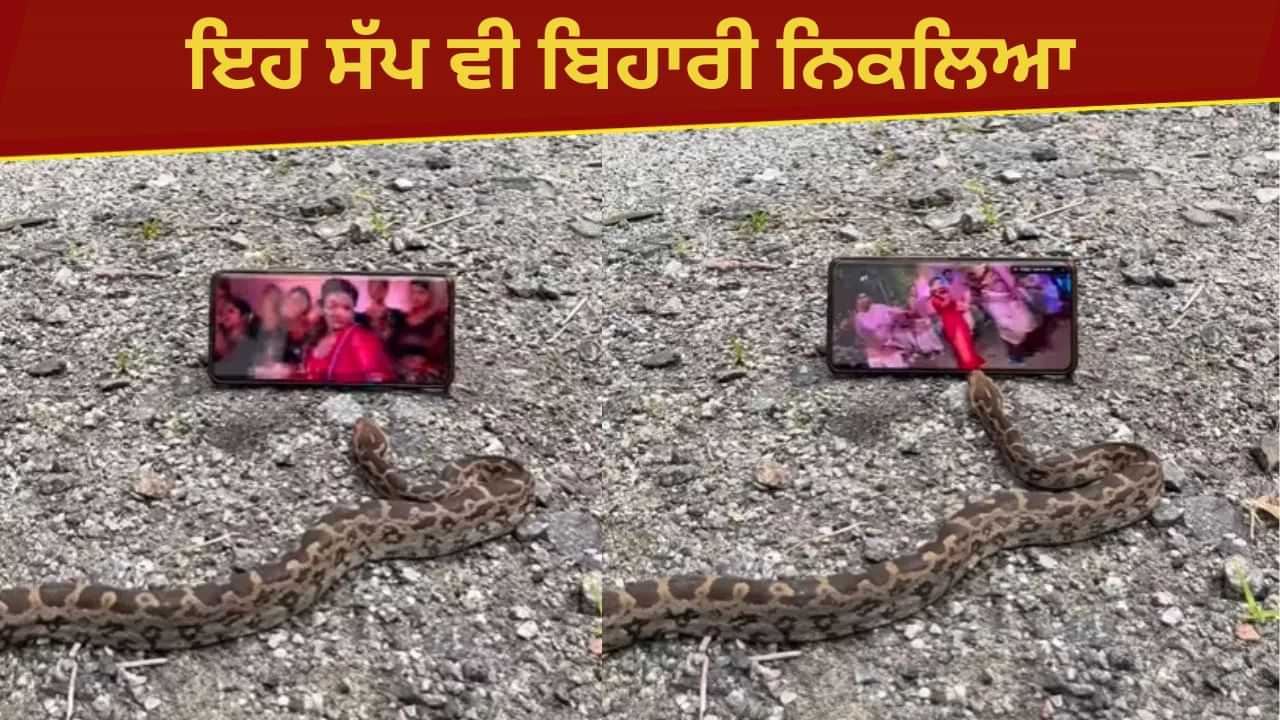 Viral: ਸੱਪ ਨੂੰ ਚੜਿਆ ਭੋਜਪੁਰੀ ਗਾਣਿਆਂ ਦਾ ਬੁਖਾਰ, ਜੇ ਯਕੀਨ ਨਹੀਂ ਤਾਂ ਦੇਖੋ ਇਹ Video Viral: ਸੱਪ ਨੂੰ ਚੜਿਆ ਭੋਜਪੁਰੀ ਗਾਣਿਆਂ ਦਾ ਬੁਖਾਰ, ਜੇ ਯਕੀਨ ਨਹੀਂ ਤਾਂ ਦੇਖੋ ਇਹ Video