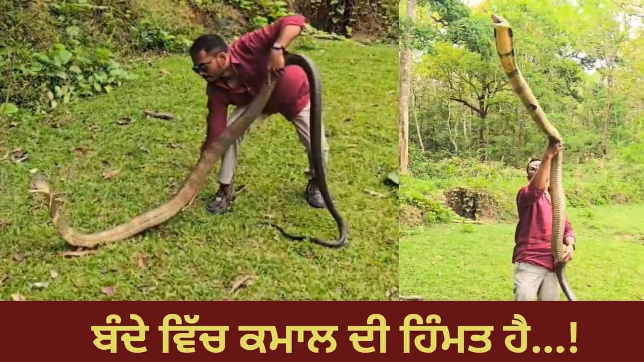 ਬੰਦੇ ਵਿੱਚ ਹਿੰਮਤ ਤਾਂ ਹੈ! ਕਿੰਗ ਕੋਬਰਾ ਨਾਲ ਏਦਾਂ ਕੀਤਾ ਖਿਲਵਾੜ — VIDEO ਦੇਖ ਉੱਡ ਜਾਣਗੇ ਹੋਸ਼ ਬੰਦੇ ਵਿੱਚ ਹਿੰਮਤ ਤਾਂ ਹੈ! ਕਿੰਗ ਕੋਬਰਾ ਨਾਲ ਏਦਾਂ ਕੀਤਾ ਖਿਲਵਾੜ — VIDEO ਦੇਖ ਉੱਡ ਜਾਣਗੇ ਹੋਸ਼