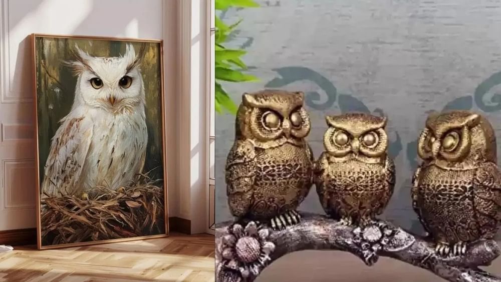 ਜਾਨਵਰਾਂ ਦੀਆਂ ਤਸਵੀਰਾਂ ਜਾਂ ਮੂਰਤੀਆਂ: ਸੂਰ, ਸੱਪ, ਗਧੇ, ਬਾਜ਼, ਉੱਲੂ, ਚਮਗਿੱਦੜ, ਗਿਰਝ, ਕਬੂਤਰ ਅਤੇ ਕਾਂ ਵਰਗੇ ਜਾਨਵਰਾਂ ਅਤੇ ਪੰਛੀਆਂ ਦੀਆਂ ਤਸਵੀਰਾਂ ਅਤੇ ਮੂਰਤੀਆਂ ਰੱਖਣ ਤੋਂ ਬਚੋ। ਵਾਸਤੂ ਦੇ ਮੁਤਾਬਕ, ਕਪਲਸ ਨੂੰ ਆਪਣੇ ਬੈੱਡਰੂਮਾਂ ਵਿੱਚ ਕੋਈ ਵੀ ਜੰਗਲੀ ਜਾਨਵਰਾਂ ਦੀਆਂ ਤਸਵੀਰਾਂ ਜਾਂ ਸ਼ੋਅਪੀਸ ਨਹੀਂ ਰੱਖਣੀਆਂ ਚਾਹੀਦੀਆਂ, ਕਿਉਂਕਿ ਇਹ ਕੁਦਰਤ ਵਿੱਚ ਜੰਗਲੀਪਨ ਨੂੰ ਦਰਸਾਉਂਦੇ ਹਨ। ਇਸ ਨਾਲ ਘਰ ਵਿੱਚ ਹਿੰਸਕ ਵਿਵਹਾਰ ਹੋ ਸਕਦਾ ਹੈ।