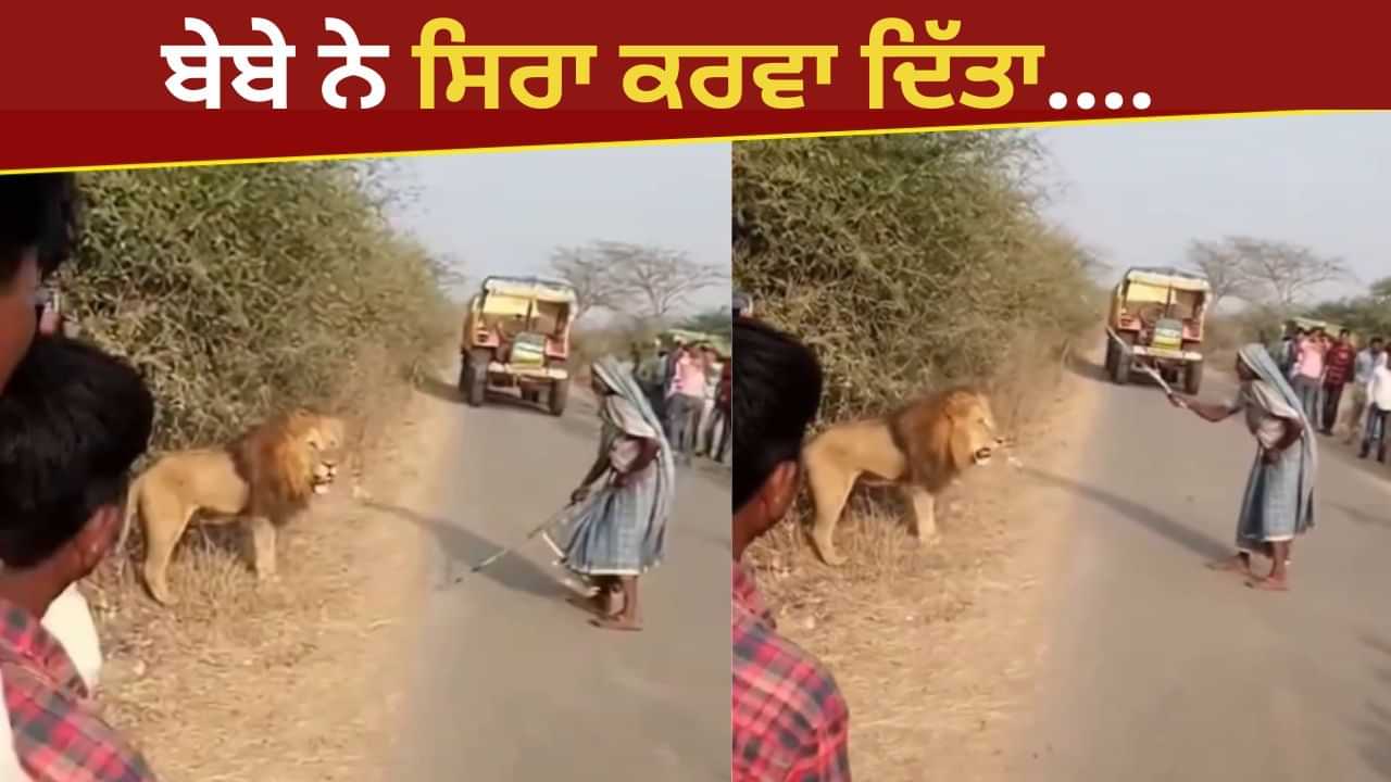 ਸ਼ੇਰ ਤੋਂ ਜ਼ਿਆਦਾ ਖ਼ਤਰਨਾਕ ਨਿਕਲੀ ਦਾਦੀ, ਜੋ ਕੀਤਾ ਕਾਰਨਾਮਾ, ਦੇਖ ਕੇ ਉੱਡ ਜਾਣਗੇ ਹੋਸ਼