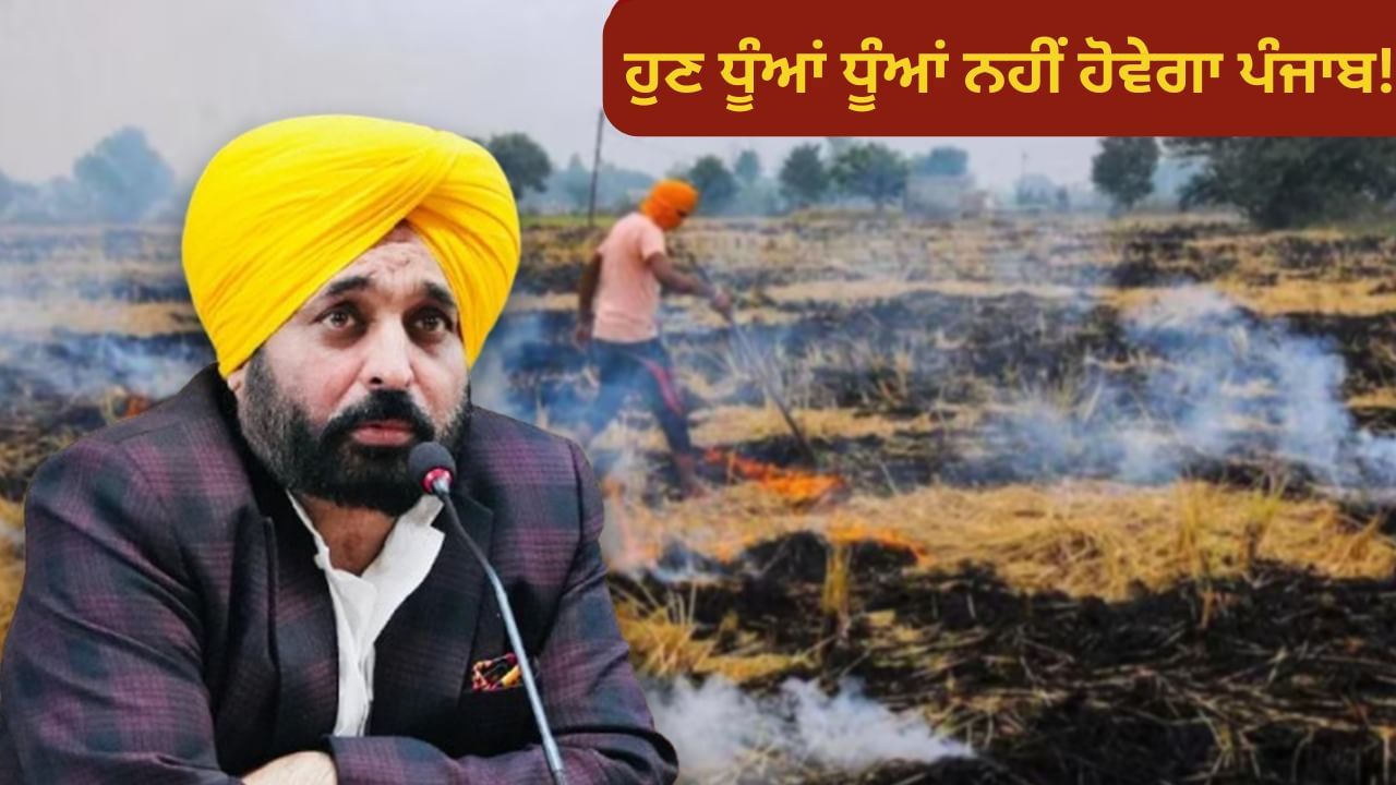 ਪਰਾਲੀ ਸਾੜਨ ਦੀਆਂ ਘਟਨਾਵਾਂ ਵਿੱਚ ਆਈ ਕਮੀ..ਭਗਵੰਤ ਮਾਨ ਸਰਕਾਰ ਦੀ ਯੋਜਨਾ ਕਿਵੇਂ ਹੋਈ ਸਫਲ?