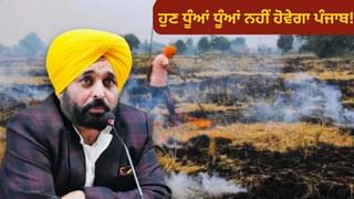 ਪਰਾਲੀ ਸਾੜਨ ਦੀਆਂ ਘਟਨਾਵਾਂ ਵਿੱਚ ਆਈ ਕਮੀ..ਭਗਵੰਤ ਮਾਨ ਸਰਕਾਰ ਦੀ ਯੋਜਨਾ ਕਿਵੇਂ ਹੋਈ ਸਫਲ? ਪਰਾਲੀ ਸਾੜਨ ਦੀਆਂ ਘਟਨਾਵਾਂ ਵਿੱਚ ਆਈ ਕਮੀ..ਭਗਵੰਤ ਮਾਨ ਸਰਕਾਰ ਦੀ ਯੋਜਨਾ ਕਿਵੇਂ ਹੋਈ ਸਫਲ?