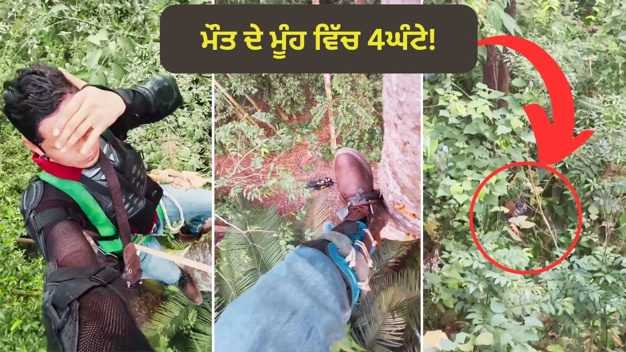 Shocking Viral: ਮੌਤ ਦੇ ਮੂੰਹ ਵਿੱਚ 4 ਘੰਟੇ! ਭੁੱਖੇ ਬਾਘ ਤੋਂ ਸ਼ਖਸ ਨੇ ਇੰਝ ਬਚਾਈ ਜਾਨ, Video ਵੇਖ ਕੇ ਉੱਡ ਜਾਣਗੇ ਹੋਸ਼