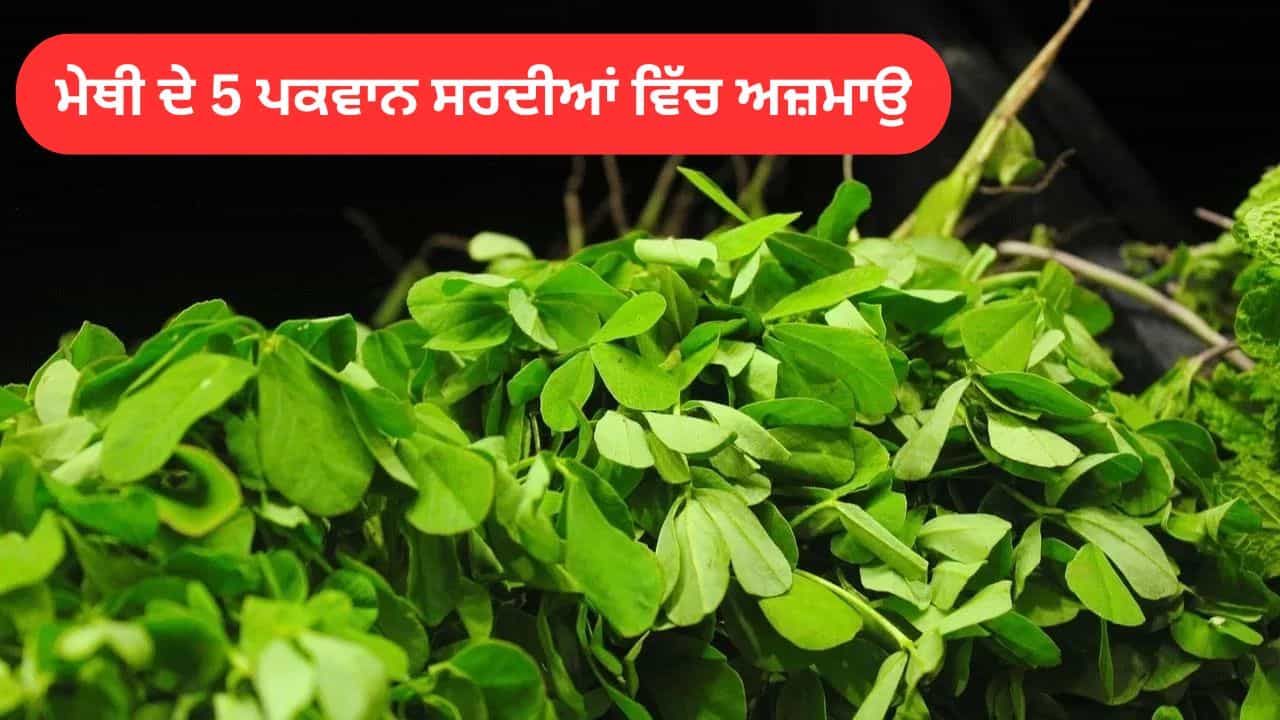 Winter GLV Diet: ਸਰਦੀਆਂ ਚ ਸਰੀਰ ਗਰਮ ਰਹੇਗਾ...ਮਿਲਣਗੇ ਕਈ ਫਾਇਦੇ, ਇਨ੍ਹਾਂ 5 ਤਰੀਕਿਆਂ ਨਾਲ ਖਾਓ ਹਰੀ ਮੇਥੀ Winter GLV Diet: ਸਰਦੀਆਂ ਚ ਸਰੀਰ ਗਰਮ ਰਹੇਗਾ...ਮਿਲਣਗੇ ਕਈ ਫਾਇਦੇ, ਇਨ੍ਹਾਂ 5 ਤਰੀਕਿਆਂ ਨਾਲ ਖਾਓ ਹਰੀ ਮੇਥੀ