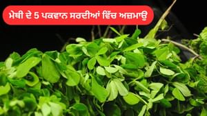 ਸਰਦੀਆਂ 'ਚ ਸਰੀਰ ਗਰਮ ਰਹੇਗਾ...ਮਿਲਣਗੇ ਕਈ ਫਾਇਦੇ, ਜਾਣੋ ਹਰੀ ਮੇਥੀ ਦੇ ਲਾਭ