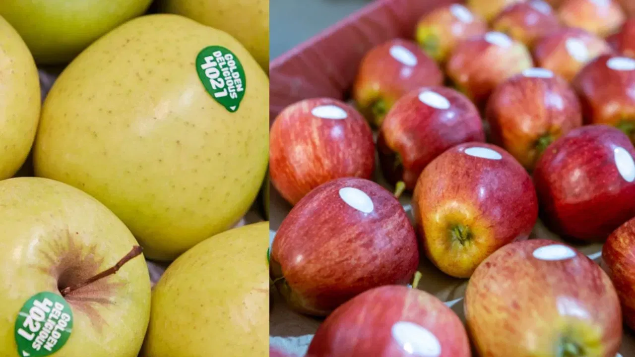 ਇਹ ਕੋਡ ਤੁਹਾਨੂੰ ਫਲ ਦੀ ਗੁਣਵੱਤਾ ਦੀ ਪਛਾਣ ਕਰਨ ਵਿੱਚ ਮਦਦ ਕਰ ਸਕਦਾ ਹੈ। ਉੱਚ-ਗੁਣਵੱਤਾ ਵਾਲੇ ਫਲ ਖਾਣਾ ਚੰਗੀ ਸਿਹਤ ਨਾਲ ਜੁੜਿਆ ਹੋਇਆ ਹੈ। ਤਾਂ, ਆਓ ਜਾਣਦੇ ਹਾਂ ਕਿ ਫਲਾਂ 'ਤੇ ਕੋਡ ਦਾ ਕੀ ਅਰਥ ਹੁੰਦਾ ਹੈ।