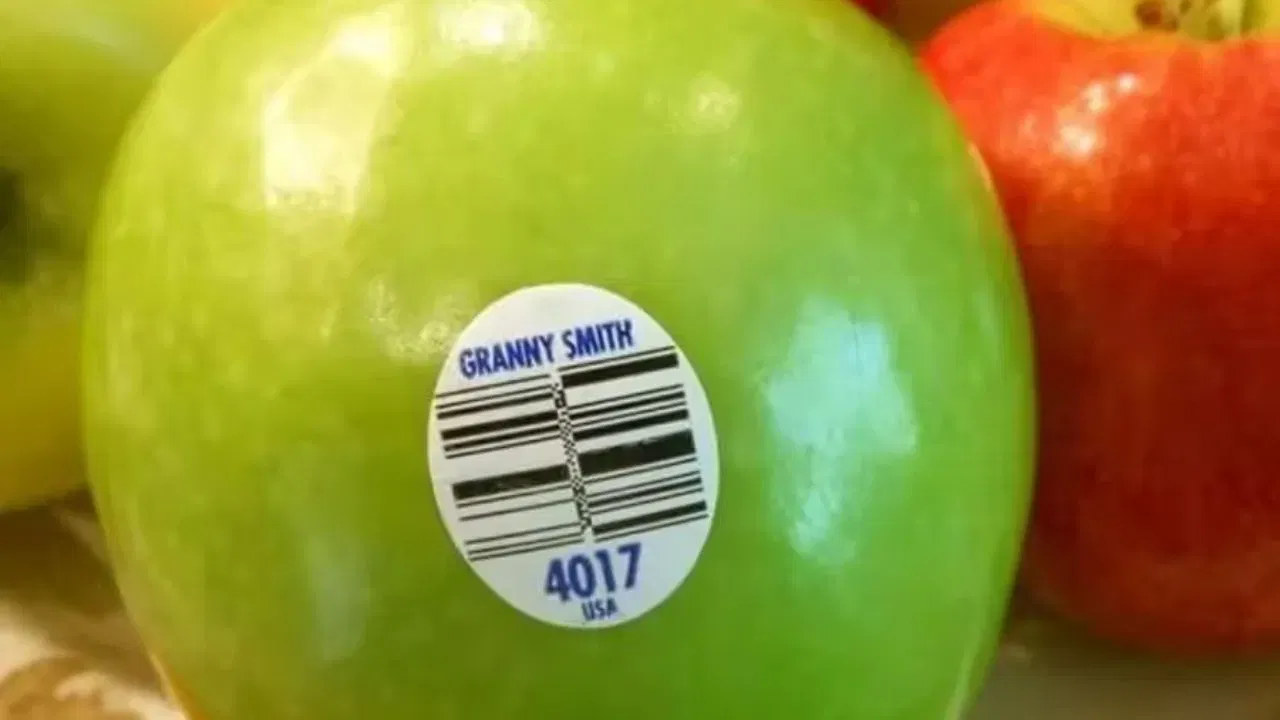 ਫਲ ਜੈਵਿਕ ਹੋਵੇ ਜਾਂ ਪ੍ਰੋਸੈਸਡ, ਕਿਸੇ ਵੀ ਬੈਕਟੀਰੀਆ ਨੂੰ ਹਟਾਉਣ ਲਈ ਖਾਣ ਤੋਂ ਪਹਿਲਾਂ ਇਸਨੂੰ ਚੰਗੀ ਤਰ੍ਹਾਂ ਧੋਣਾ ਬਹੁਤ ਮਹੱਤਵਪੂਰਨ ਹੈ। ਨਾਲ ਹੀ, ਮੌਸਮੀ ਫਲ ਖਰੀਦਣ ਦੀ ਕੋਸ਼ਿਸ਼ ਕਰੋ ਕਿਉਂਕਿ ਉਹ ਤਾਜ਼ੇ ਹੁੰਦੇ ਹਨ। (ਸਾਰੀਆਂ ਫੋਟੋਆਂ ਸੋਸ਼ਲ ਮੀਡੀਆ ਅਤੇ ਗੂਗਲ ਦੇ ਸ਼ਿਸ਼ਟਾਚਾਰ ਨਾਲ)