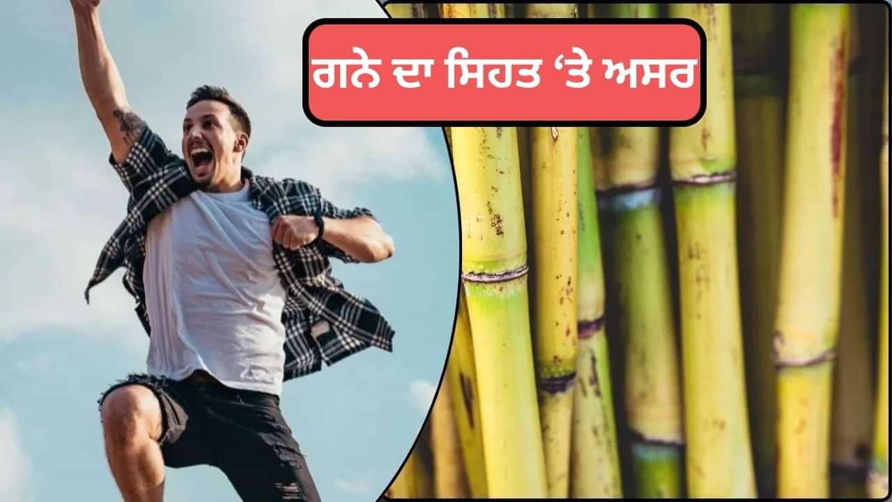 ਛੱਠ ਮਈਆ ਦਾ ਮਨਪਸੰਦ ਫਲ ਗੰਨਾ ਖਾਣ ਨਾਲ ਸਰੀਰ ਤੇ ਕੀ ਅਸਰ ਪੈਂਦਾ ਹੈ? ਜਾਣੋ ਛੱਠ ਮਈਆ ਦਾ ਮਨਪਸੰਦ ਫਲ ਗੰਨਾ ਖਾਣ ਨਾਲ ਸਰੀਰ ਤੇ ਕੀ ਅਸਰ ਪੈਂਦਾ ਹੈ? ਜਾਣੋ