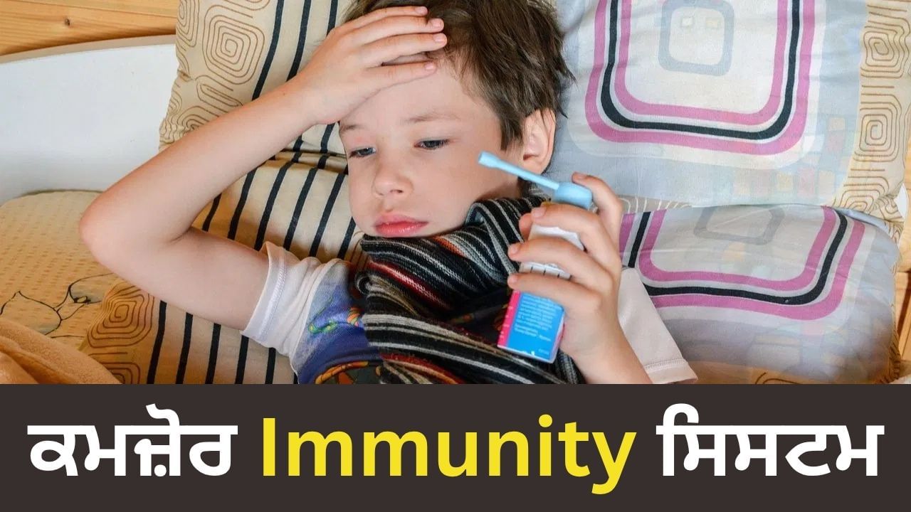 ਬੱਚੇ ਨੂੰ ਖੰਘ ਅਤੇ ਜ਼ੁਕਾਮ ਤੋਂ ਬਚਾਉਣ ਲਈ ਇਸ ਬੀਜ ਤੋਂ ਬਣਾਓ ਲੱਡੂ, ਵਧਾਉਂਦਾ ਹੈ ਇਮਿਊਨਿਟੀ