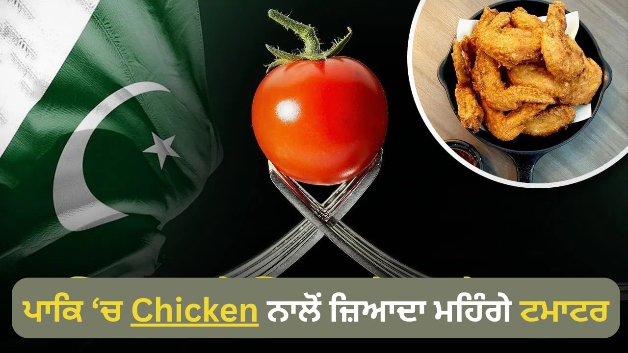 ਚੀਨ ਜਾਂ ਭਾਰਤ, ਟਮਾਟਰ ਉਗਾਉਣ ਵਿੱਚ ਮੋਹਰੀ ਕੌਣ ਹੈ? ਪਾਕਿਸਤਾਨ 'ਚ 700 ਰੁਪਏ ਕਿਲੋ