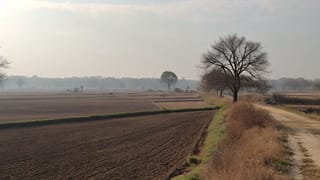 ਪੰਜਾਬ ਦੇ ਮੌਸਮ ‘ਚ ਬਦਲਾਅ, ਕਿਸੇ ਵੀ ਤਰ੍ਹਾਂ ਦਾ ਅਲਰਟ ਨਹੀਂ; ਜਾਣੋ Weather Update