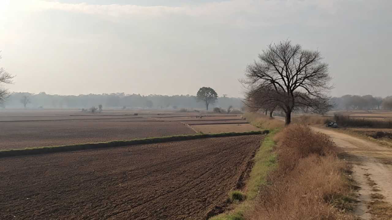 ਠੰਡ ਦੀ ਦਸਤਕ, ਪੰਜਾਬ ਦਾ ਤਾਪਮਾਨ ਆਮ ਨਾਲੋਂ 3.3 ਡਿਗਰੀ ਘੱਟ; ਮੌਸਮ ਰਹੇਗਾ ਖੁਸ਼ਕ ਠੰਡ ਦੀ ਦਸਤਕ, ਪੰਜਾਬ ਦਾ ਤਾਪਮਾਨ ਆਮ ਨਾਲੋਂ 3.3 ਡਿਗਰੀ ਘੱਟ; ਮੌਸਮ ਰਹੇਗਾ ਖੁਸ਼ਕ