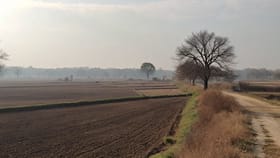 ਪੰਜਾਬ ‘ਚ ਗਰਮੀ ਦਾ ਅਸਰ ਵਧਿਆ, ਅਗਲੇ 5 ਦਿਨਾਂ ਵਿੱਚ 23 ਡਿੱਗਰੀ ਤਾਪਮਾਨ ਵਧੇਗਾ...