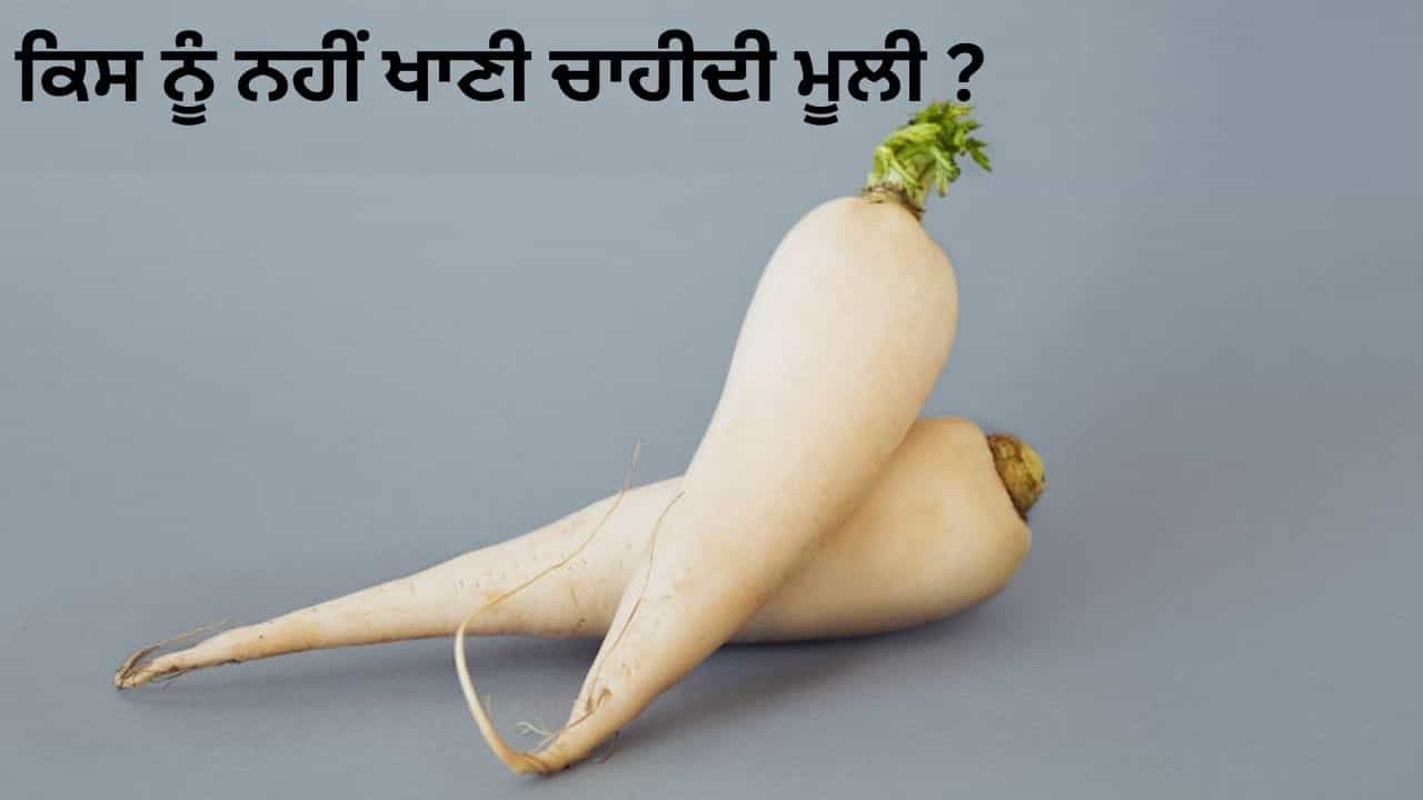 ਪੌਸ਼ਟਿਕ ਤੱਤਾਂ ਨਾਲ ਭਰਪੂਰ ਮੂਲੀ... ਪਰ ਇਹ ਲੋਕ ਖਾਣ ਤੋਂ ਕਰਨ ਬਚਾਅ ਪੌਸ਼ਟਿਕ ਤੱਤਾਂ ਨਾਲ ਭਰਪੂਰ ਮੂਲੀ... ਪਰ ਇਹ ਲੋਕ ਖਾਣ ਤੋਂ ਕਰਨ ਬਚਾਅ