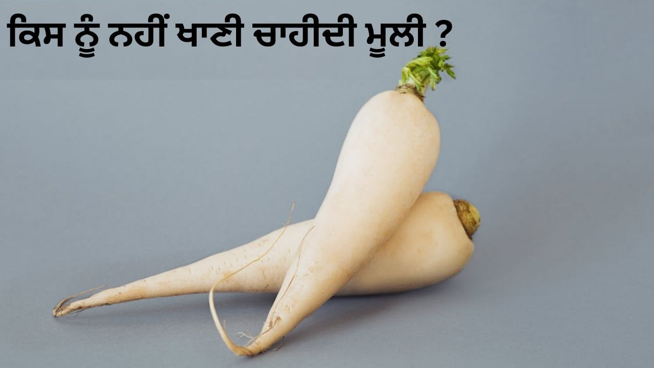 ਪੌਸ਼ਟਿਕ ਤੱਤਾਂ ਨਾਲ ਭਰਪੂਰ ਮੂਲੀ... ਪਰ ਇਹ ਲੋਕ ਖਾਣ ਤੋਂ ਕਰਨ ਬਚਾਅ