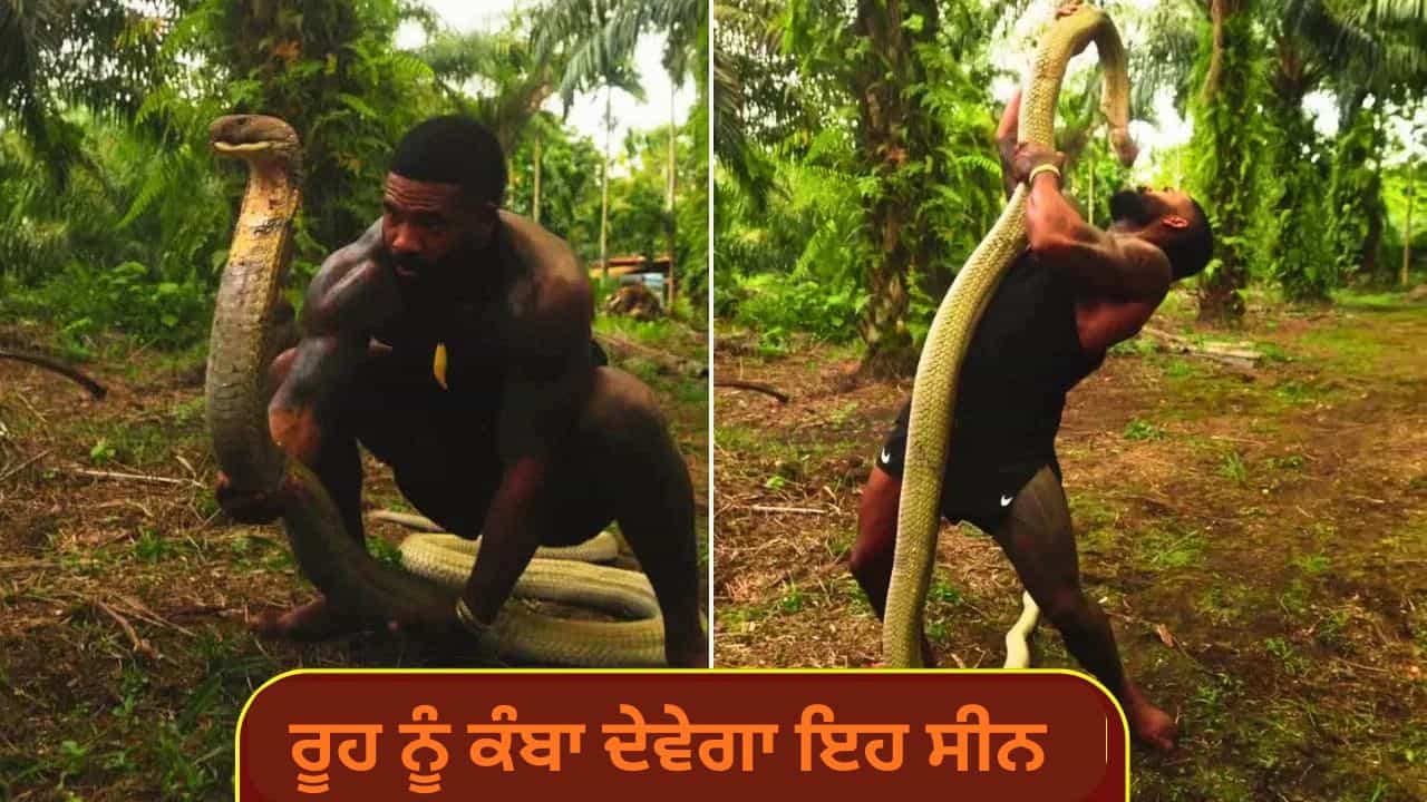 Viral Video: ਹੱਥਾਂ ਨਾਲ ਵਿਸ਼ਾਲ King ਕੋਬਰਾ ਨੂੰ ਕੀਤਾ ਕਾਬੂ, ਵਾਲ-ਵਾਲ ਬਚੀ ਜਾਨ, VIDEO ਵੇਖ ਕੇ ਕੰਬ ਜਾਵੇਗੀ ਰੂਹ