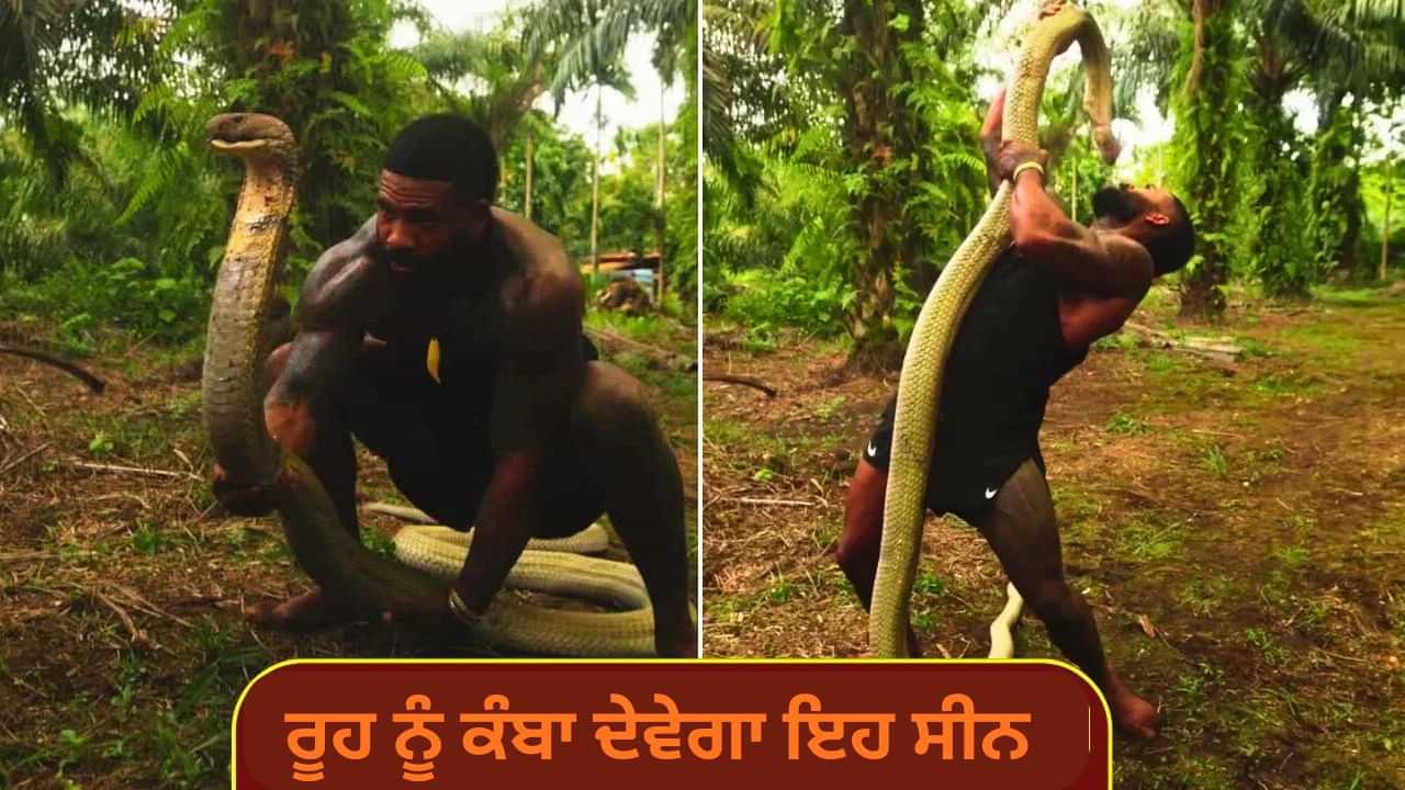 Viral Video: ਹੱਥਾਂ ਨਾਲ ਵਿਸ਼ਾਲ King ਕੋਬਰਾ ਨੂੰ ਕੀਤਾ ਕਾਬੂ, ਵਾਲ-ਵਾਲ ਬਚੀ ਜਾਨ, VIDEO ਵੇਖ ਕੇ ਕੰਬ ਜਾਵੇਗੀ ਰੂਹ Viral Video: ਹੱਥਾਂ ਨਾਲ ਵਿਸ਼ਾਲ King ਕੋਬਰਾ ਨੂੰ ਕੀਤਾ ਕਾਬੂ, ਵਾਲ-ਵਾਲ ਬਚੀ ਜਾਨ, VIDEO ਵੇਖ ਕੇ ਕੰਬ ਜਾਵੇਗੀ ਰੂਹ