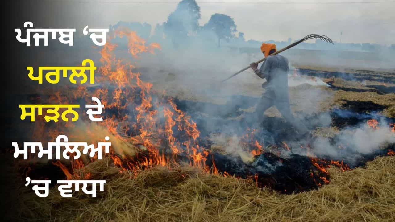 ਐਫਆਈਆਰ, ਰੈੱਡ ਐਂਟਰੀਆਂ ਤੇ ਭਾਰੀ ਜੁਰਮਾਨੇ ਦੇ ਬਾਵਜੂਦ ਨਹੀਂ ਰੁਕ ਰਹੇ ਪਰਾਲੀ ਸਾੜਨ ਦੇ ਮਾਮਲੇ, ਹੁਣ ਤੱਕ ਦਰਜ ਕੀਤੀਆਂ ਗਈਆਂ 1,216 ਘਟਨਾਵਾਂ
