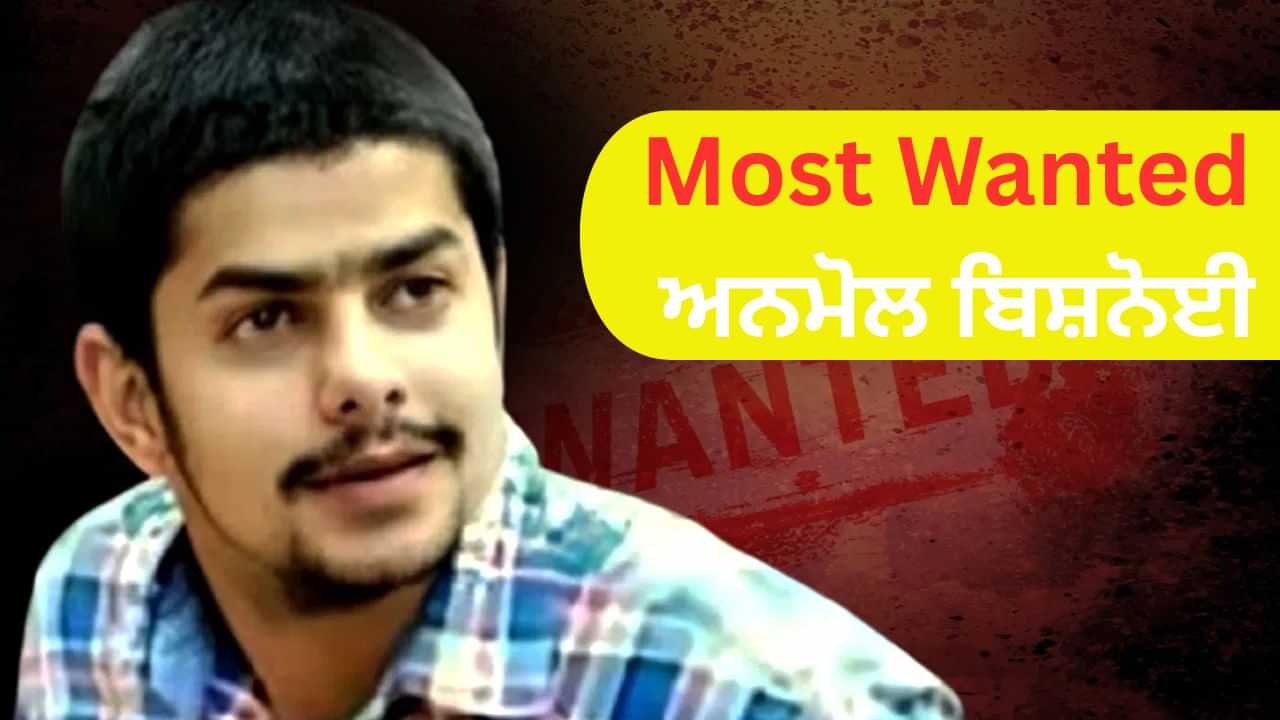 ਫਾਜ਼ਿਲਕਾ ਦਾ ਅਨਮੋਲ ਬਿਸ਼ਨੋਈ ਕਿਵੇਂ ਬਣਿਆ ਭਾਰਤ ਦਾ ਮੋਸਟਵਾਂਟੇਡ, ਸਲਮਾਨ-ਮੂਸੇਵਾਲਾ-ਬਾਬਾ ਸਿੱਦੀਕੀ ਕੇਸ ਚ ਲੋੜੀਂਦਾ ਫਾਜ਼ਿਲਕਾ ਦਾ ਅਨਮੋਲ ਬਿਸ਼ਨੋਈ ਕਿਵੇਂ ਬਣਿਆ ਭਾਰਤ ਦਾ ਮੋਸਟਵਾਂਟੇਡ, ਸਲਮਾਨ-ਮੂਸੇਵਾਲਾ-ਬਾਬਾ ਸਿੱਦੀਕੀ ਕੇਸ ਚ ਲੋੜੀਂਦਾ