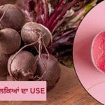 ਚੁਕੰਦਰ ਦੇ ਛਿਲਕਿਆਂ ਨੂੰ ਬੇਕਾਰ ਸਮਝ ਕੇ ਨਾ ਸੁੱਟੋ, Beauty ਤੋਂ ਲੈ ਕੇ ਬਾਗਬਾਨੀ ਤੱਕ ਆਵੇਗਾ ਕੰਮ