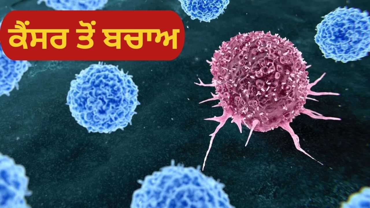 ਕੈਂਸਰ ਤੋਂ ਬਚਣ ਲਈ ਕੀ ਕਰਨਾ ਚਾਹੀਦਾ ਹੈ? ਡਾਕਟਰ ਤੋਂ ਜਾਣੋ ਕੈਂਸਰ ਤੋਂ ਬਚਣ ਲਈ ਕੀ ਕਰਨਾ ਚਾਹੀਦਾ ਹੈ? ਡਾਕਟਰ ਤੋਂ ਜਾਣੋ