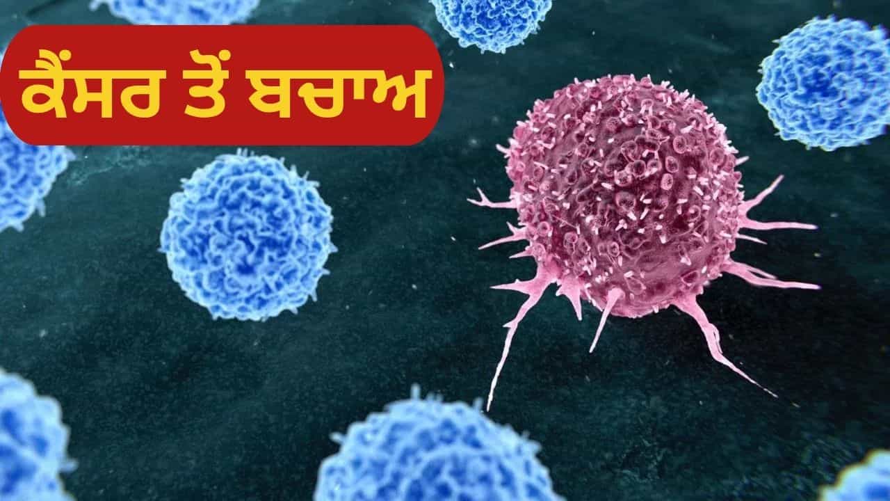ਕੈਂਸਰ ਤੋਂ ਬਚਣ ਲਈ ਕੀ ਕਰਨਾ ਚਾਹੀਦਾ ਹੈ? ਡਾਕਟਰ ਤੋਂ ਜਾਣੋ ਕੈਂਸਰ ਤੋਂ ਬਚਣ ਲਈ ਕੀ ਕਰਨਾ ਚਾਹੀਦਾ ਹੈ? ਡਾਕਟਰ ਤੋਂ ਜਾਣੋ