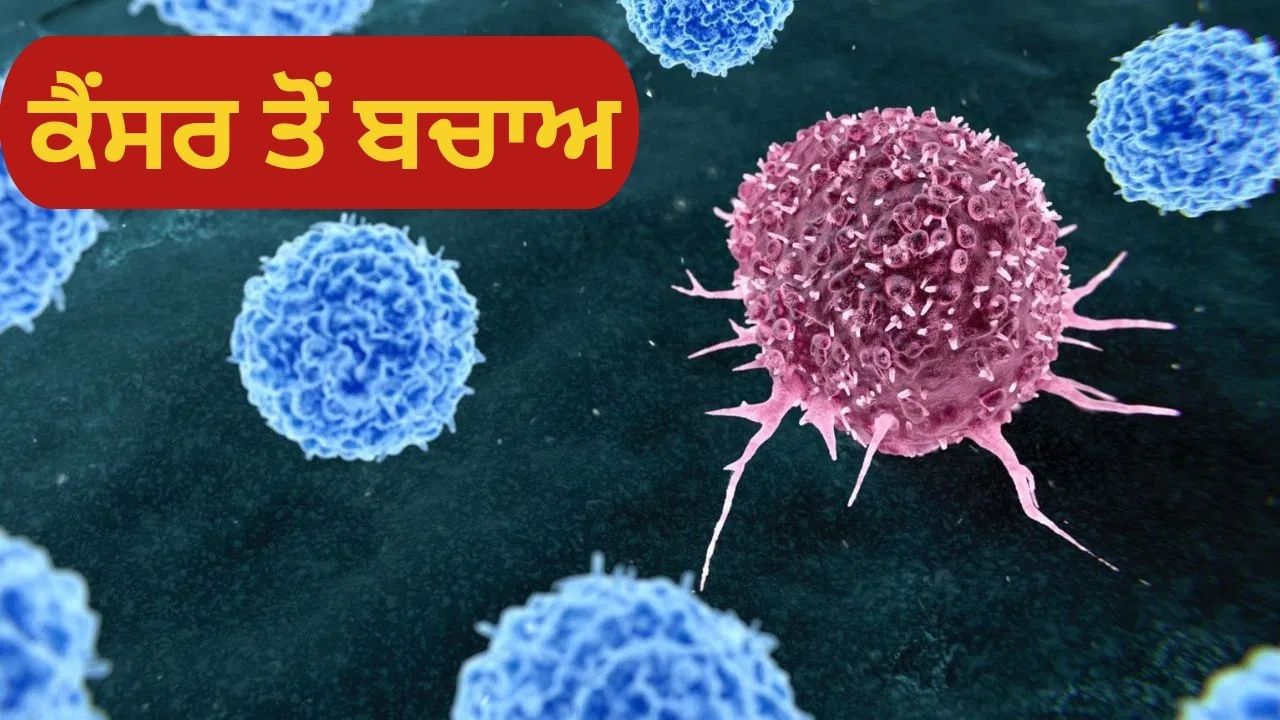 ਕੈਂਸਰ ਤੋਂ ਬਚਣ ਲਈ ਕੀ ਕਰਨਾ ਚਾਹੀਦਾ ਹੈ? ਡਾਕਟਰ ਤੋਂ ਜਾਣੋ