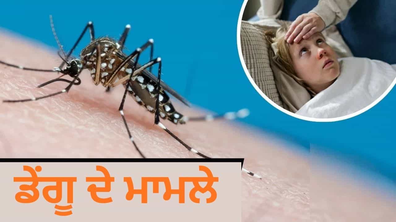 ਦਿੱਲੀ ਅਤੇ ਗੁਰੂਗ੍ਰਾਮ ਵਿੱਚ ਇਸ ਸਾਲ ਡੇਂਗੂ ਦੇ ਘੱਟ ਮਾਮਲੇ ਆਏ ਸਾਹਮਣੇ, ਐਕਸਪਰਟ ਨੇ ਦੱਸੇ ਕਾਰਨ