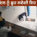 ਕੁੱਤੇ ਦੇ ਪੈਰ ‘ਚ ਲੱਗੀ ਸੱਟ, ਪਹੁੰਚਿਆ ਹਸਪਤਾਲ, ਫਿਰ ਦੇਖੋ ਕੀ ਹੋਇਆ?