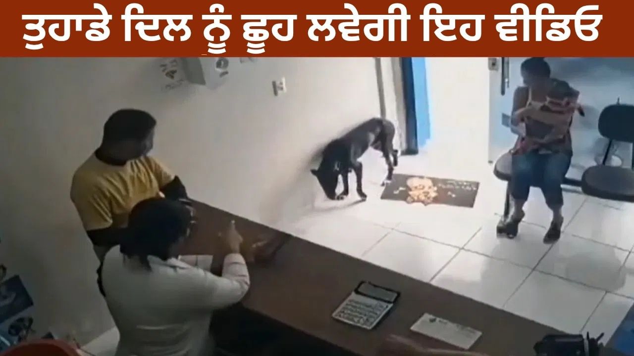 ਕੁੱਤੇ ਦੇ ਪੈਰ 'ਚ ਲੱਗੀ ਸੱਟ, ਪਹੁੰਚਿਆ ਹਸਪਤਾਲ, ਫਿਰ ਦੇਖੋ ਕੀ ਹੋਇਆ?