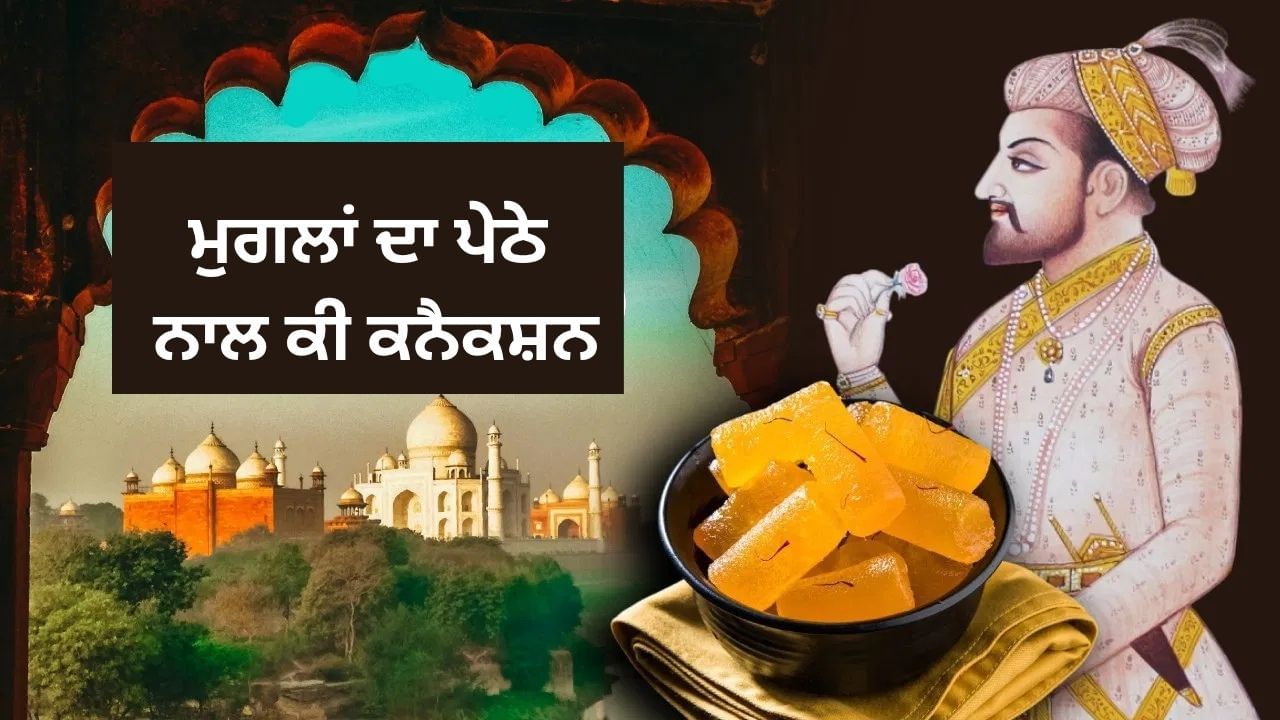 ਕੀ ਆਗਰਾ ਦਾ ਪੇਠਾ ਮੁਗਲਾਂ ਦੀ ਦੇਣ ਹੈ? ਸ਼ਾਹਜਹਾਂ ਦੇ ਦੌਰ ‘ਚ ਪਹਿਲੀ ਵਾਰ ਬਣੀ ਮਿਠਾਈ?