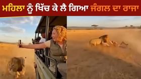 ਸੈਲਫੀ ਲੈ ਰਹੀ ਸੀ ਮਹਿਲਾ, ਗੱਡੀ ਵਿਚੋਂ ਸ਼ੇਰ ਨੇ ਖਿੱਚਿਆ, ਖ਼ੌਫ਼ਨਾਕ ਵੀਡਿਓ ਵਾਇਰਲ