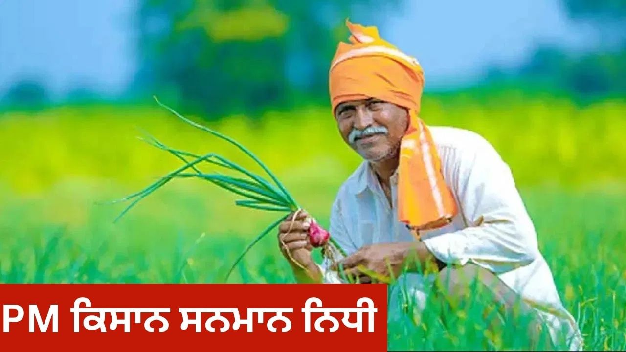 ਤੁਹਾਡੇ ਖਾਤੇ ਵਿੱਚ ਨਹੀਂ ਆਏ PM ਕਿਸਾਨ ਨਿਧੀ ਦੇ ਪੈਸੇ? ਇਹ ਹੋ ਸਕਦਾ ਹੈ ਕਾਰਨ