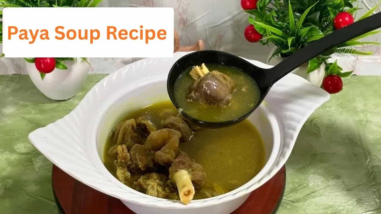 ਸਰਦੀਆਂ ਵਿੱਚ ਸਰੀਰ ਨੂੰ ਮਿਲੇਗੀ Double ਗਰਮਾਹਟ, ਬਣਾ ਕੇ ਪਿਓ ਪਾਇਆ ਸੂਪ, ਇਹ ਰਹੀ ਰੈਸਿਪੀ ਸਰਦੀਆਂ ਵਿੱਚ ਸਰੀਰ ਨੂੰ ਮਿਲੇਗੀ Double ਗਰਮਾਹਟ, ਬਣਾ ਕੇ ਪਿਓ ਪਾਇਆ ਸੂਪ, ਇਹ ਰਹੀ ਰੈਸਿਪੀ