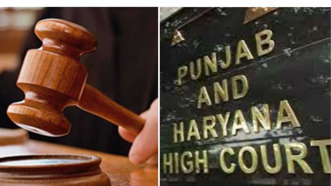 ਪੰਜਾਬ ਚ 1963 ਐਕੁਆਇਰ ਜ਼ਮੀਨ ਦਾ ਰਿਕਾਰਡ ਗਾਇਬ, ਪੇਸ਼ ਨਾ ਕੀਤਾ ਗਿਆ ਤਾਂ ਅਧਿਕਾਰੀਆਂ ਤੇ ਹੋਵੇਗੀ FIR: ਹਾਈ ਕੋਰਟ ਪੰਜਾਬ ਚ 1963 ਐਕੁਆਇਰ ਜ਼ਮੀਨ ਦਾ ਰਿਕਾਰਡ ਗਾਇਬ, ਪੇਸ਼ ਨਾ ਕੀਤਾ ਗਿਆ ਤਾਂ ਅਧਿਕਾਰੀਆਂ ਤੇ ਹੋਵੇਗੀ FIR: ਹਾਈ ਕੋਰਟ